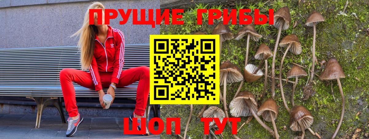 Гусь-Хрустальный  Галлюциногенные грибы прущие грибы  Вход с VPN 