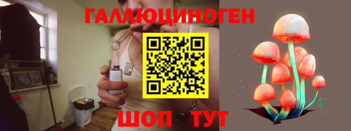 Псилоцибиновые грибы Psilocybine cubensis Гусь-Хрустальный